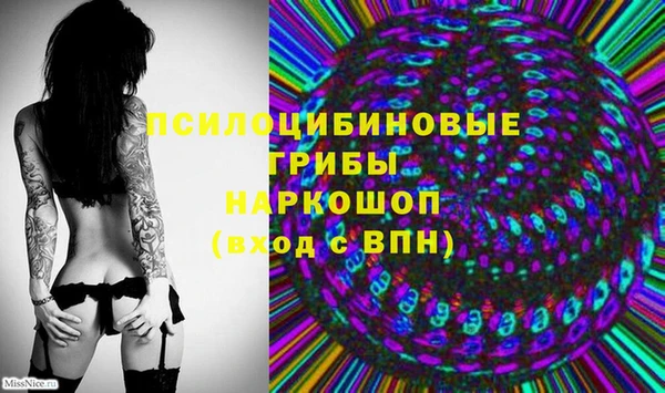 прущая мука Кемь