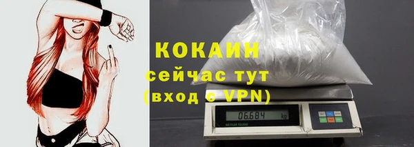 хмурый Дмитровск