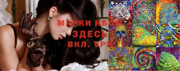 PSILOCYBIN Ельня