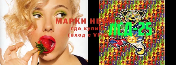 PSILOCYBIN Ельня