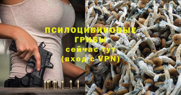 сатива Елабуга