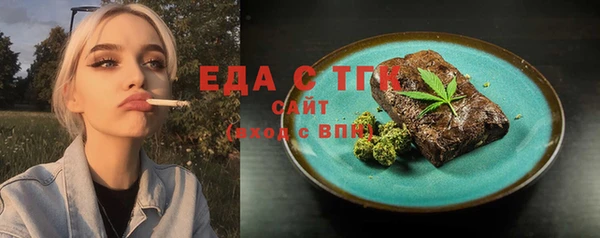 PSILOCYBIN Ельня